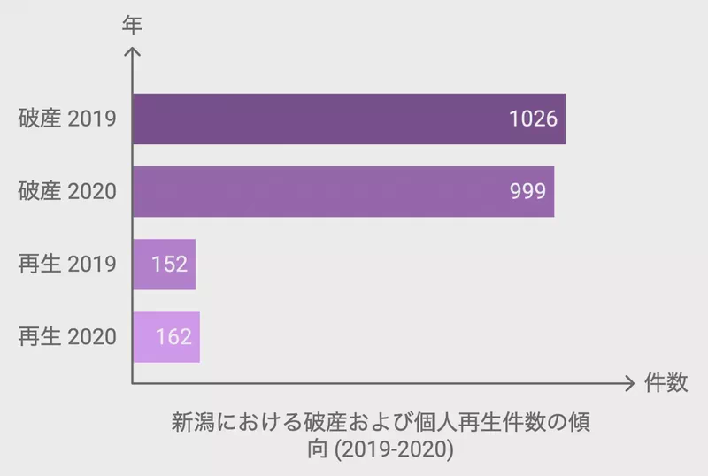 新潟における破産および個人再生件数の傾向 (2019-2020)